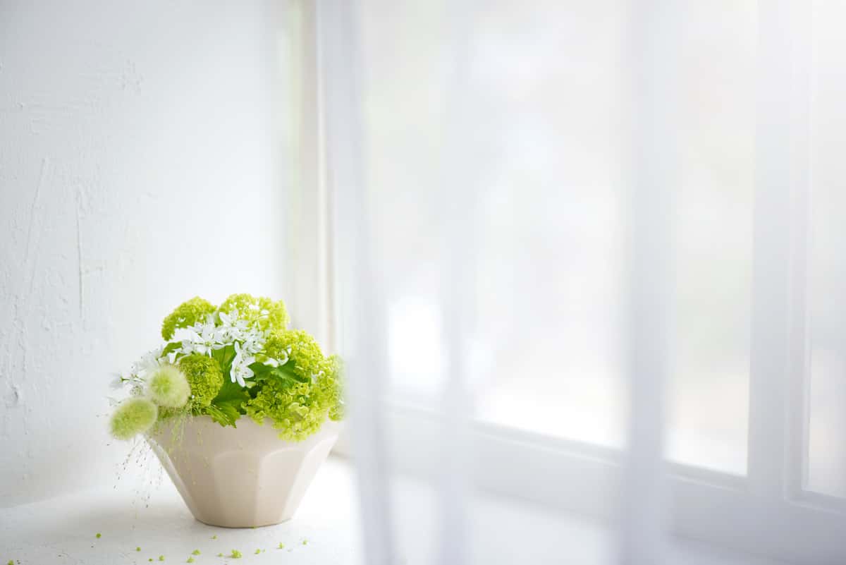 お部屋に飾られているグリーン基調のお花